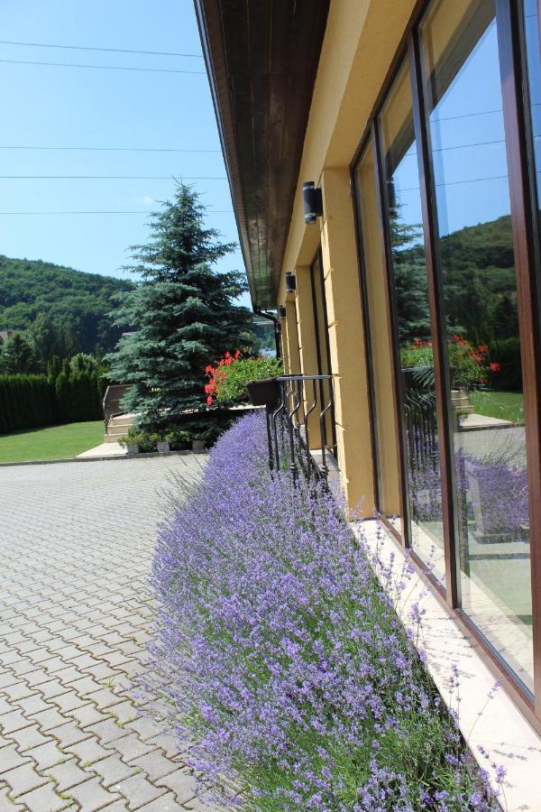 Vila Trapez Săcele Exterior foto